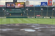 阪神巨人戦、グラウンドコンディション不良のため中止