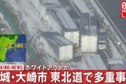 【ホワイトアウト】東北道で起こった多重事故の現場がヤバい