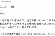 【悲報】馬主協会理事さん「地方馬が多くなりすぎると管理が面倒くさいからサラオクで売るわｗ」