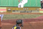 【悲報】元プロ野球選手さんたち、独立リーグに転生してなろうのように無双するｗｗｗ