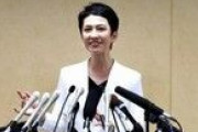 二重国籍をめぐって蓮舫氏を批判する人たちに抱く“違和感”「日本で活動してきたのは周知の事実」[6/9]  [昆虫図鑑★]