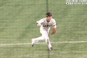 【GIF】侍ジャパン中野、やらかす…