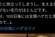 ワクチンを打った後抜け毛が増えた人の近影 #関連性は不明
