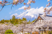 「富士山と桜、自分の想像する天国はこんな感じだ」親日外国人が風景を愛でるスレ
