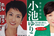 蓮舫と小池百合子の都知事選、「赤いきつねVS緑のたぬき」と言われてしまうｗｗｗｗ