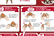 ケンタッキーフライドチキンの正しい食べ方がこちらｗｗｗｗｗｗ