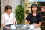石田亜佑美「腕が７本しかないタコ？それじゃまるでイカになっちゃうじゃない」工藤由愛「イカは１０本ですけど」