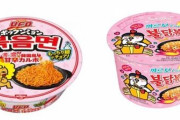 韓国がまねた日清食品、三養食品をまねた即席麺発売…大学教授「アジアのソフトパワーの軸、日本から韓国に移動」