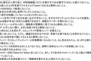 「VTuberとしてやってはいけないこと」という内容が海外で投稿され中国語圏のVTuberの間で議論に
