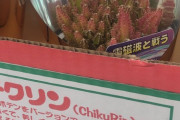 こんなサボテンが売っとったんやが買いか？