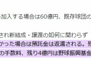 プロ野球に新規参入したいです　NPB「はい加盟料30億ね」