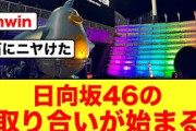 【9月11日の人気記事10選】 日向坂46×宮崎県ひなたフェス2024の経済効果が… ほか【乃木坂・櫻坂・日向坂】