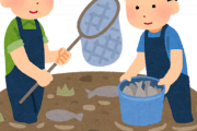アクア民さん「もう成人が魚捕りできる時代は終わった・・・」 → その理由がこちら