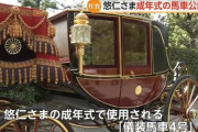 【画像】悠仁さまの愛車がこちらｗｗｗｗｗｗｗｗｗ