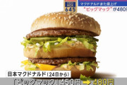 【悲報】マクドの値段、もうほぼモス