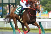 【武豊は凱旋門賞へ】マテラスカイ　ルメール騎手との新コンビで東京盃へ