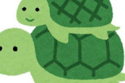 亀「長生きします、鳴きません、野菜で飼えます」←最高のペットだよね