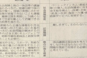 【悲報】N国立花さんの敗因、発見されるWWWWWWWWWW