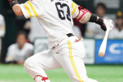 西武　ソフトバンク戦力外の仲田を獲得調査　投手以外全て守れる両打ち内野手
