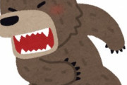 【熊外傷】クマにかじられた「顔面」は路上に落ちていた…医師「熊は顔面を狙って攻撃してくる」