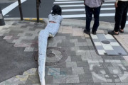 ブラジルのインフルエンサーが日本でヘビの衣装を着て道路を這いまわっていた