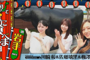 乃木坂配信中 梅澤美波、川﨑桜、佐藤璃果『ライブ翌日に岩手グルメ食べに行ってみた！』動画公開！！！