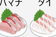 「はまち」と「鯛」、味も見た目も似過ぎている問題ｗｗｗｗｗｗｗｗｗ
