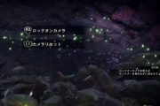 【MHWI】カメラが訳分からなくなって気付いたら攻撃食らってるんだけど皆カメラどうしてるの？【アイスボーン】