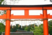 神社に到着して私に「間違っても鳥居を素通りなんてしないでね。恥ずかしいから」と言った小姑が直後に手水舎でグジュグジュペッ！ってやった。