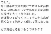 【画像】女子、愛犬を配達員に殺害されてしまう・・・