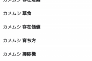 「カメムシ」のサジェストがこれ