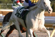 【競馬】最近の競走馬は二つ名がなくてさみしい
