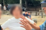 【速報】奈良公園の鹿を巡り口論となった中国人夫婦、へずまりゅう氏を提訴へ　本人は動画削除も関連動画が計2000万回以上再生
