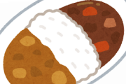 日本のカレーが好きじゃないんやけどｗｗｗ