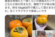 【画像】女子、ミニスカで簡単に売り切る　　　