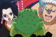 【悲報】ワンピースのロビン、フランキー、骨とかいう強いのか弱いのかわからないやつらｗｗｗｗｗ