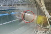 【韓国の反応】仁川で大騒ぎになった「水道水の幼虫」ソウル・釜山など韓国各地で通報相次ぐ