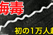 【悲報】日本、パパ活が流行りすぎて梅毒だらけに
