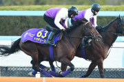 横領犯が決まって「金は競馬で溶かした」と供述する話、もしかしたら嘘の言い訳かも　→　過去、同じ言い訳を使った犯人が◯◯◯でバレた話…
