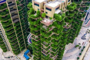 「植物で覆った結果」中国のタワーマンション群で起きた悲劇が再び話題に・・・
