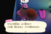 【急募】 どうぶつの森のゴリラ女を島から出て行かせる方法