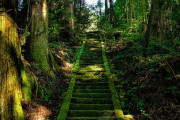 日本の山の中にある隠れた秘密の神社を探す旅「いつか行きたい」「自然と一体感があります」海外の反応