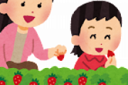 【画像】いちご狩りきたぞ