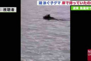 【北海道】湖をスイスイ泳ぐ"クマ" その先に待っていたのは「予期せぬ野生の攻撃」一目散に逃走…厳しい北の自然　別海町