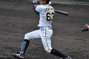 阪神板山２安打３打点「当然」２軍監督は昇格推薦