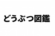 「またまた帰ってきた！どうぶつ図鑑 SP！」が9/19にニコ生で放送　ゲストに松本梨香さん