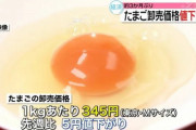 【朗報】卵ようやく値下がり