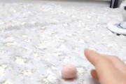 【ネコ】飼い主に焦らされすぎて手が出てしまう猫ちゃんが(*´д｀*)