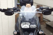【ねこ画像】バイク乗り、おっきな・・・大きすぎなクッション、ソファでごろごろ ほか【再】