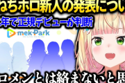 ホロライブVTuber「（新人について）ウチらとは絡まないと思う」「人気の先輩に媚びたもん勝ちになるよ」